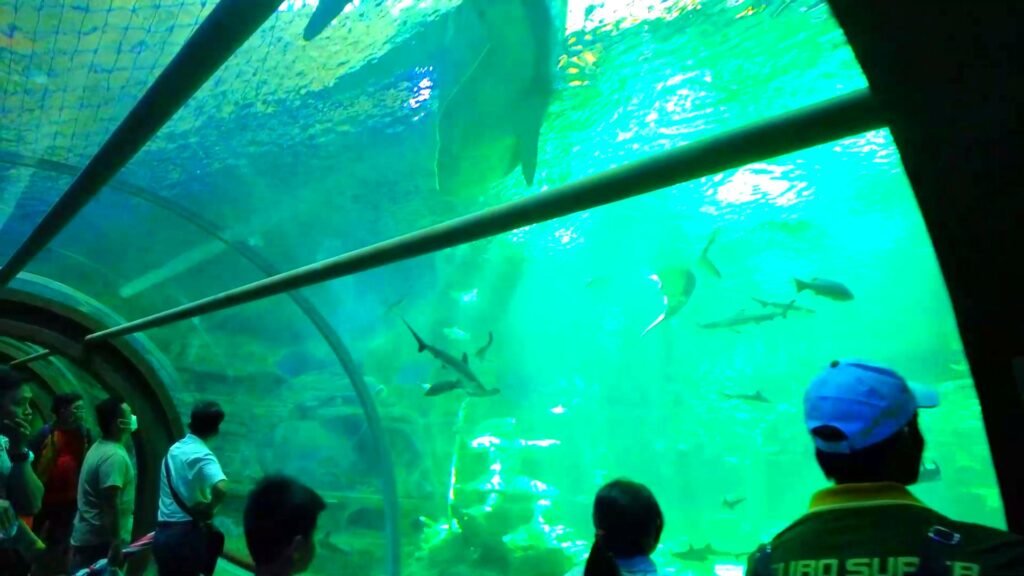 Alophuquoc VinWonder Phú Quốc - thủy cung lớn nhất Việt Nam