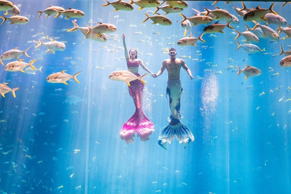 Alophuquoc Vinwonder Show Tiên cá