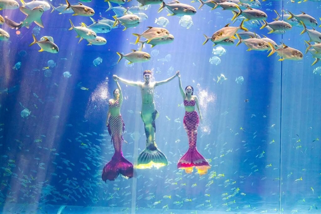 alophuquoc vinwonders - thuy cung 126